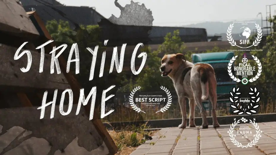 Відео до фільму Straying home | Straying home. A film essay with urban animals