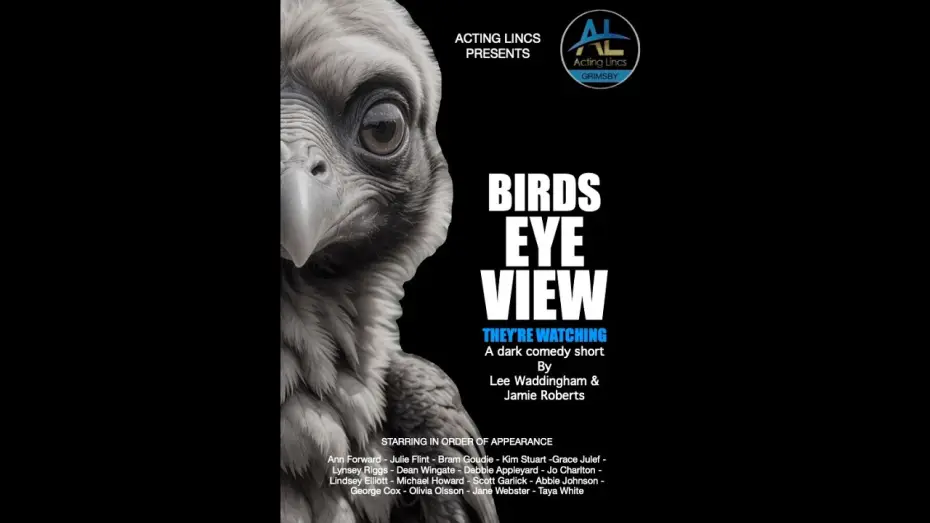 Відео до фільму Birds Eye View | BIRDS EYE VIEW