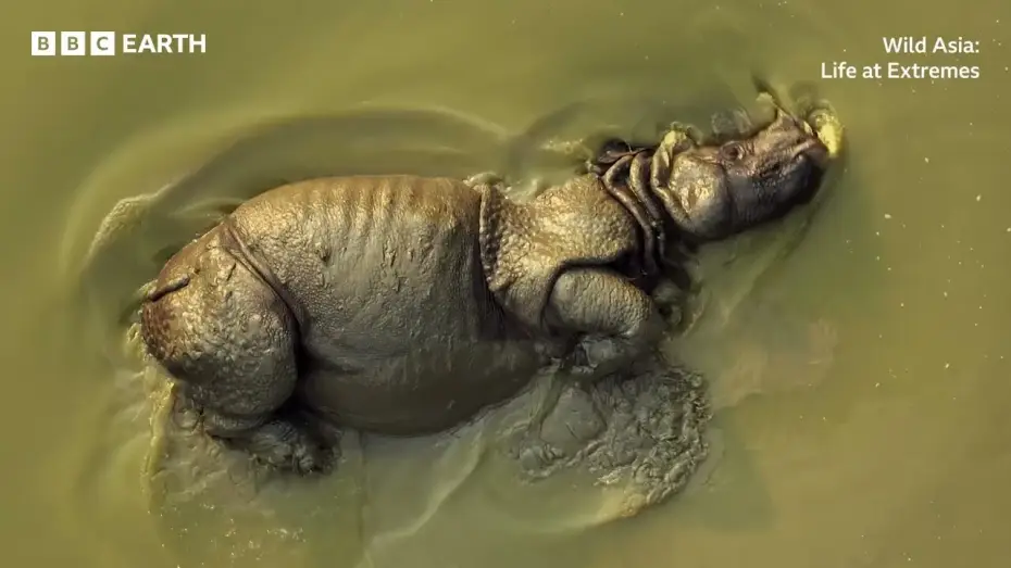 Відео до фільму Wild Asia: Life at Extremes — Wild Asia: Life at Extremes | BBC Studios