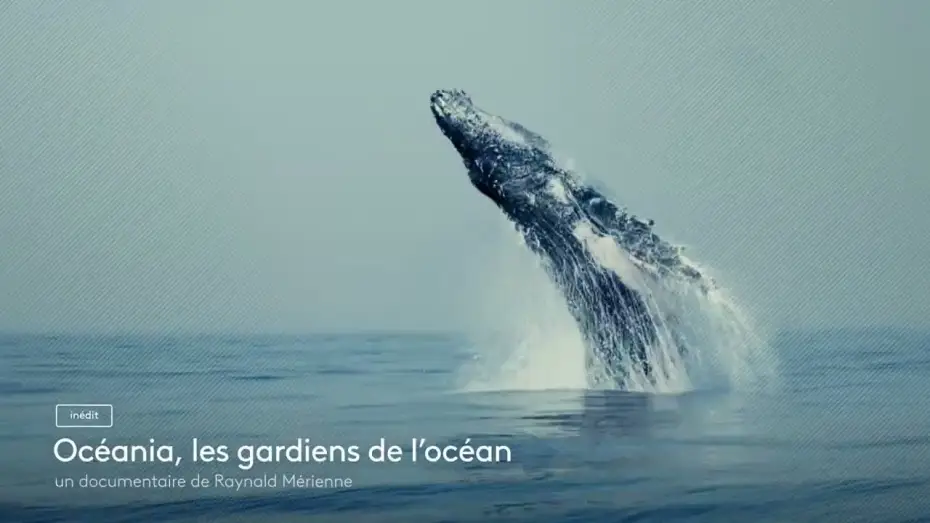 Відео до фільму Océania, les gardiens de l'océan — [Bande annonce] Océania, les gardiens de l'océan