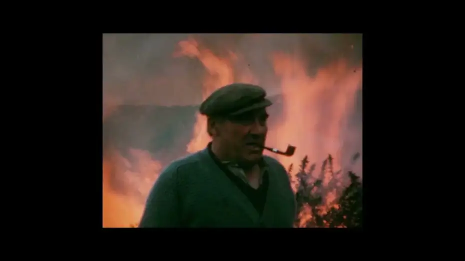 Відео до фільму Whiddy — Whiddy - Trailer