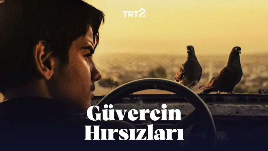 Відео до фільму Güvercin Terbiyecisi Hammal — Güvercin Hırsızları | Fragman