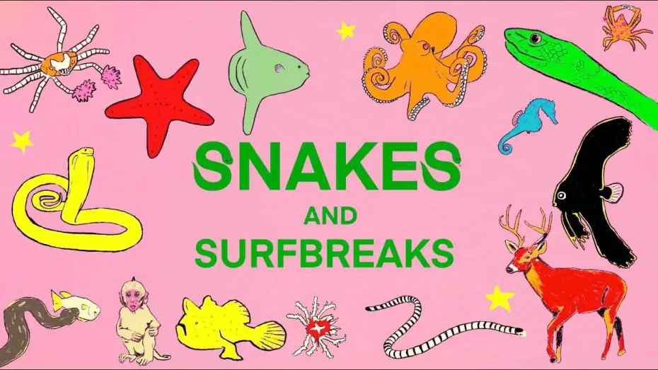 Відео до фільму Snakes and Surf Breaks — SNAKES and SURF BREAKS - Indonesia (EXTENDED EDITION TRAILER)