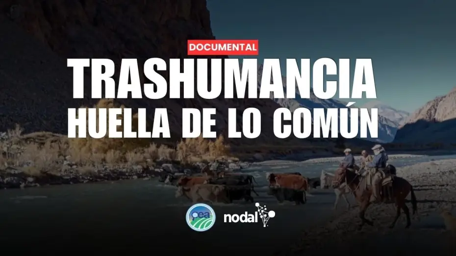 Відео до фільму TRASHUMANCIA. HUELLA DE LO COM&Uacute;N | TRASHUMANCIA. HUELLA DE LO COM&Uacute;N | Documental del Centro de estudios Agrarios y NODAL