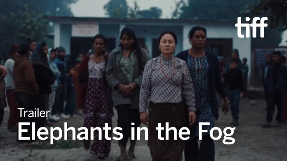 Відео до фільму तिनीहरू — ELEPHANTS IN THE FOG Trailer | TIFF 2026