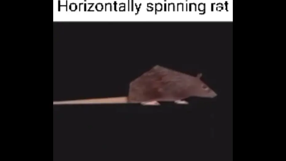 Відео до фільму Roberto | horizontally spinning rat