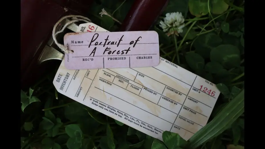 Відео до фільму Portrait of a Forest — Portrait of a Forest
