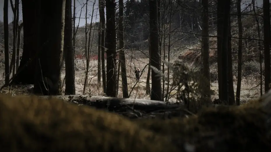 Відео до фільму Branches of a Fig Tree — Branches of a Fig Tree - Teaser