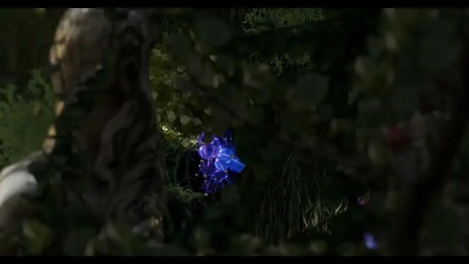 Відео до фільму The Fox and the Grapes — The Fox and The Grapes Official trailer