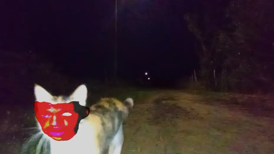 Відео до фільму Eu Ja Sonhei Com Isso — Eu Já Sonhei Com Isso