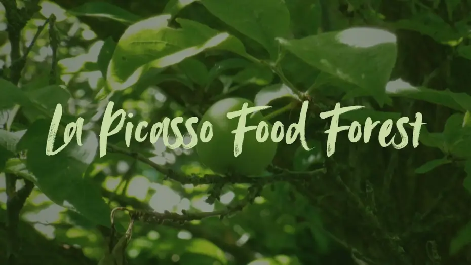 Відео до фільму La Picasso Food Forest — La Picasso Food Forest