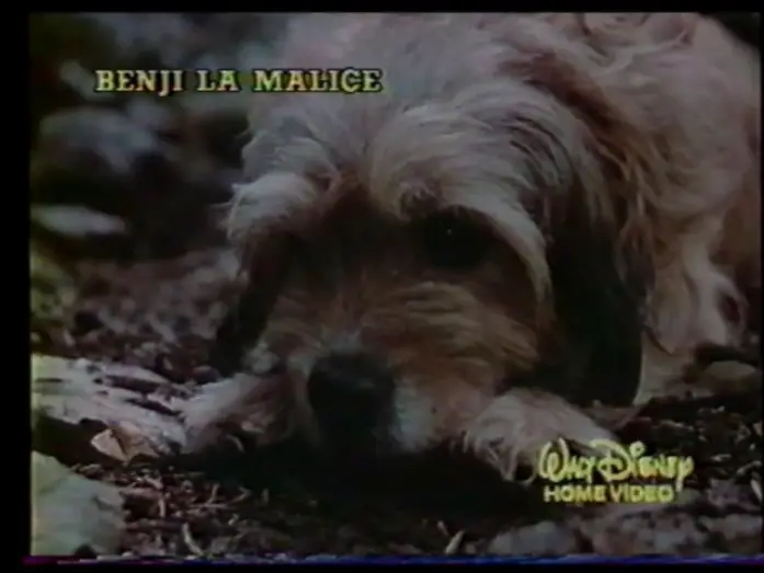 Відео до фільму Гонитва за Бенджі — Benji la malice (1987) Bande annonce française.