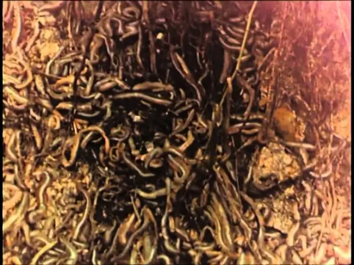 Відео до фільму Squirm — Squirm - Invasion der Bestien (1976) Deutscher Trailer