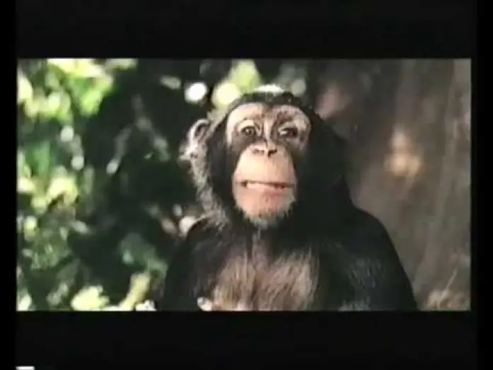 Відео до фільму Джордж із джунглів 2 — Disney's George of the jungle 2 Trailer 2003 (VHS Capture)