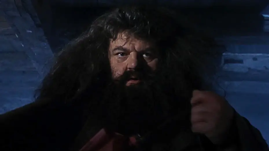 Відео до фільму Гаррі Поттер і філософський камінь | A visit from Rubeus Hagrid | Harry Potter and the Philosopher's Stone