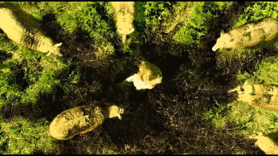 Відео до фільму Nothing Left to Fear — LES PORTES DE L'ENFER - LA LEGENDE DE STULL- Bande annonce - VF