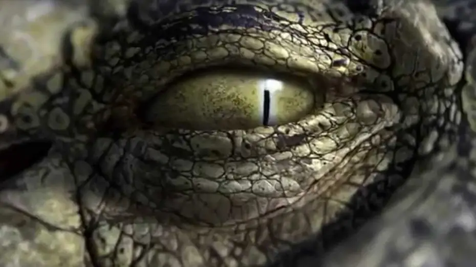Відео до фільму Крокоробот — Robocroc Trailer