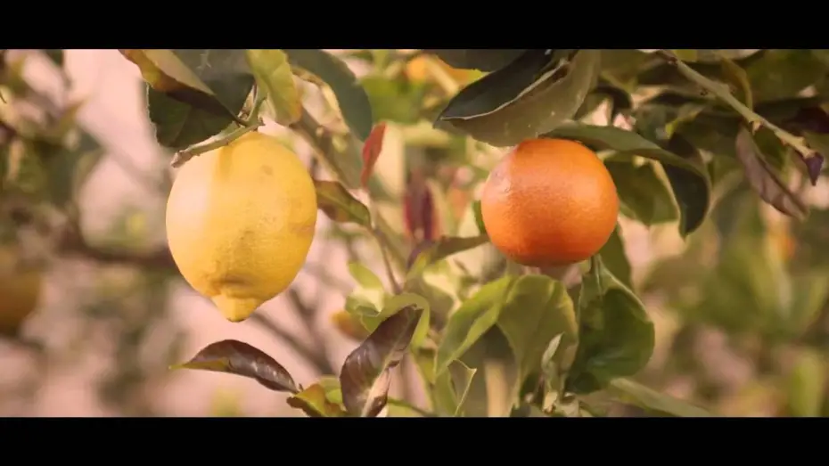Відео до фільму Весна — Cure
