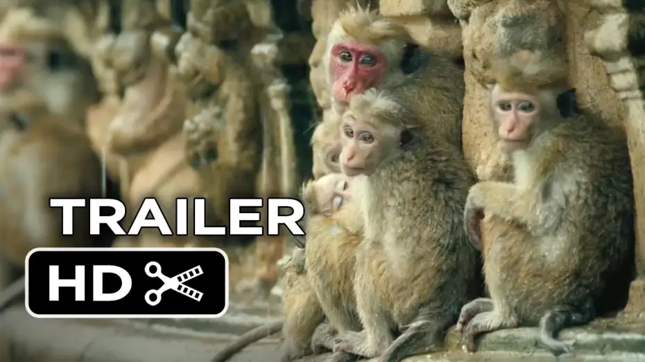 Відео до фільму Королівство мавп — Monkey Kingdom Official Trailer #1 (2015) - Disneynature Documentary HD