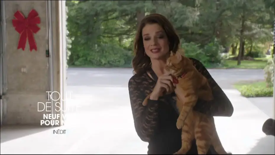 Відео до фільму The Nine Lives of Christmas — neuf vie spour noel tout de suite TF1 5 12 2015