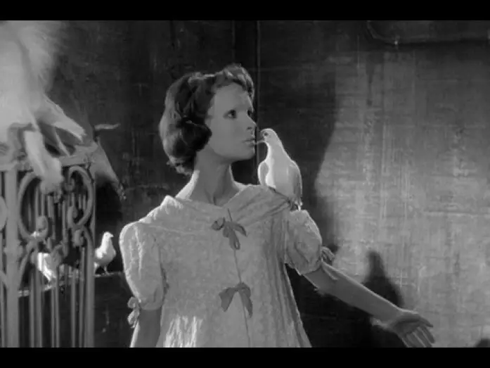 Відео до фільму Очі без обличчя — Sam Hamm on Eyes Without a Face