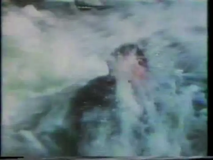 Відео до фільму Beyond the Poseidon Adventure — Beyond the Poseidon Adventure 1979 TV trailer