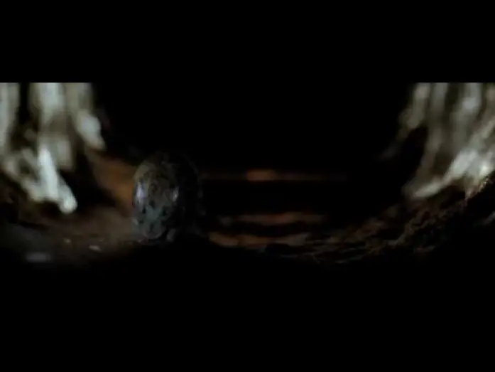 Відео до фільму Спуск: Частина 2 — Exclusive Clip