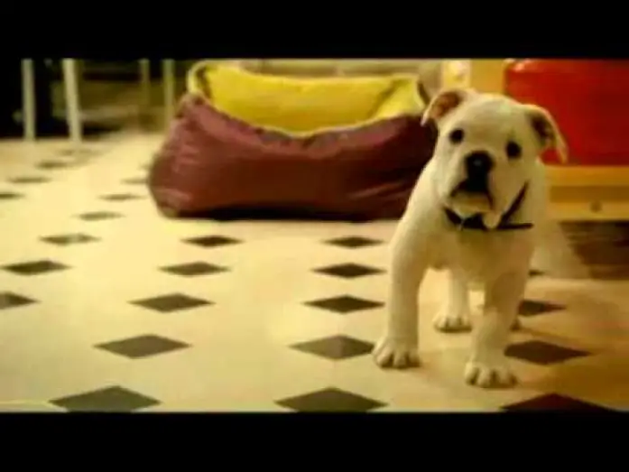 Відео до фільму Трезор — Tresor 2009 Trailer.flv