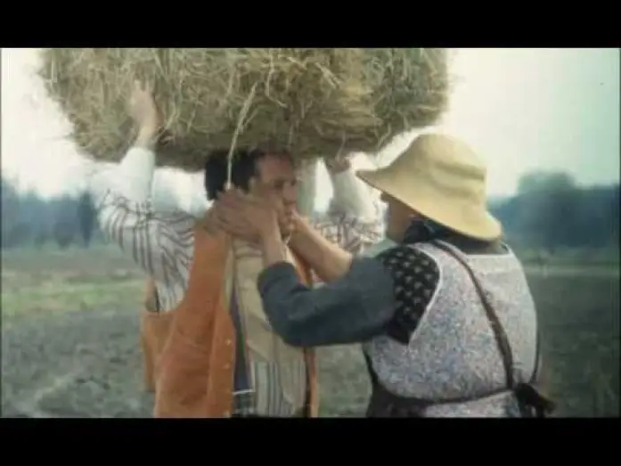 Відео до фільму Il ragazzo di campagna — Trailer Il Ragazzo Di Campagna (Renato Pozzetto) by IlFilmografo
