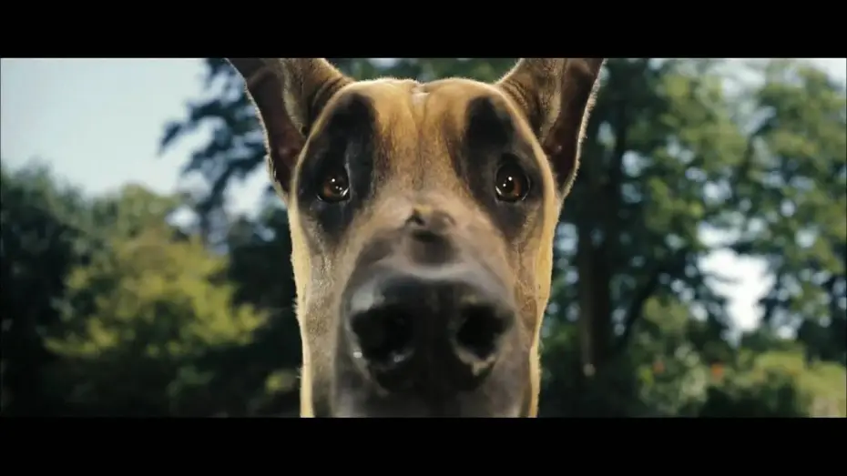 Відео до фільму Мармадюк — Marmaduke Trailer [german] HD