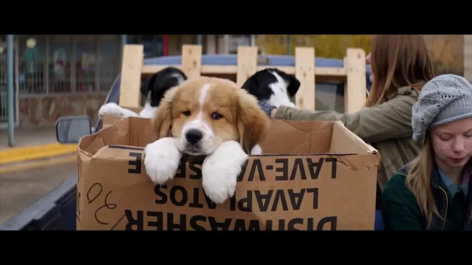 Відео до фільму Життя і мета собаки | MES VIES DE CHIEN - Bande annonce - VF