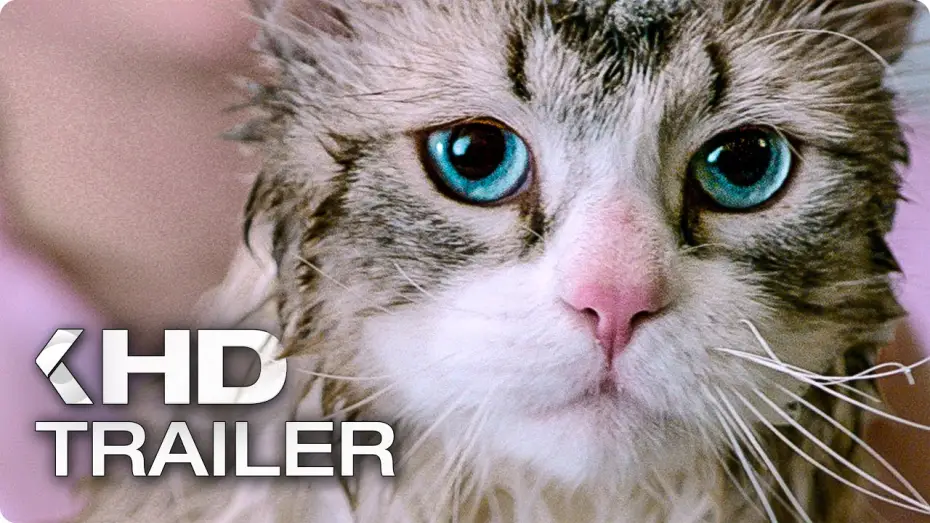 Відео до фільму Дев’ять життів — NINE LIVES Exklusiv Trailer German Deutsch (2016)