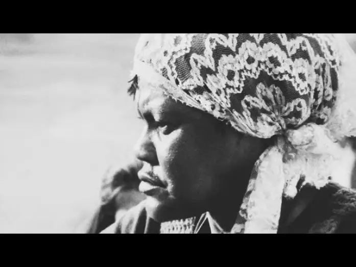 Відео до фільму O Tigre e a Gazela — O Tigre e a Gazela  (1977) de  Aloysio Raulino