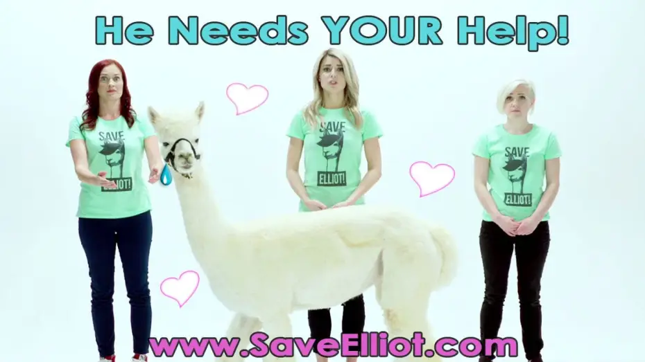 Відео до фільму Dirty 30 — HELP OUR ALPACA FRIENDS! #Dirty30Movie