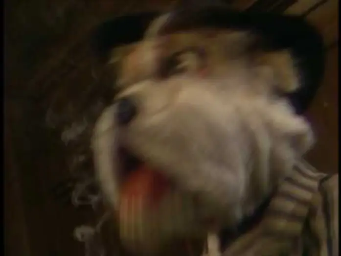 Відео до фільму Dog City — Trailer - Dog City - The Jim Henson Company