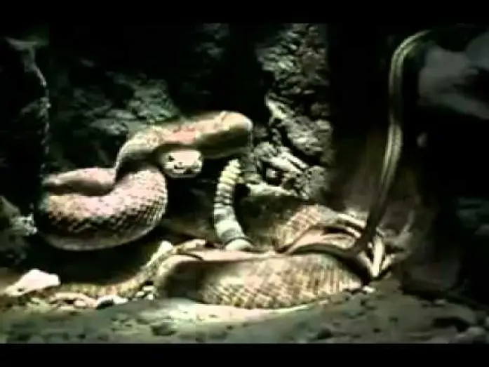 Відео до фільму Venomous — Venomous 2001 movie trailer