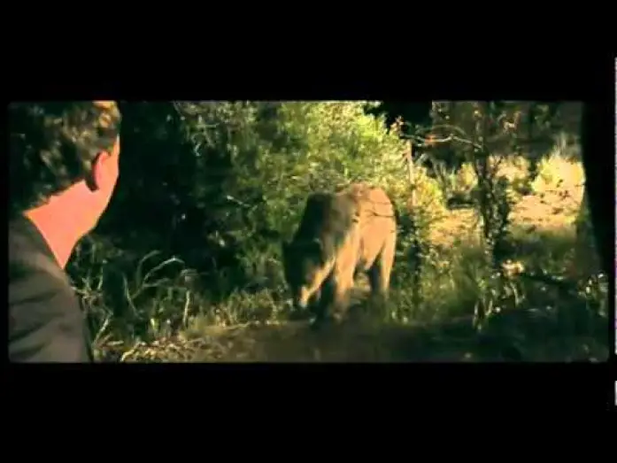 Відео до фільму Грізлі — Bear - Trailer (OmU)
