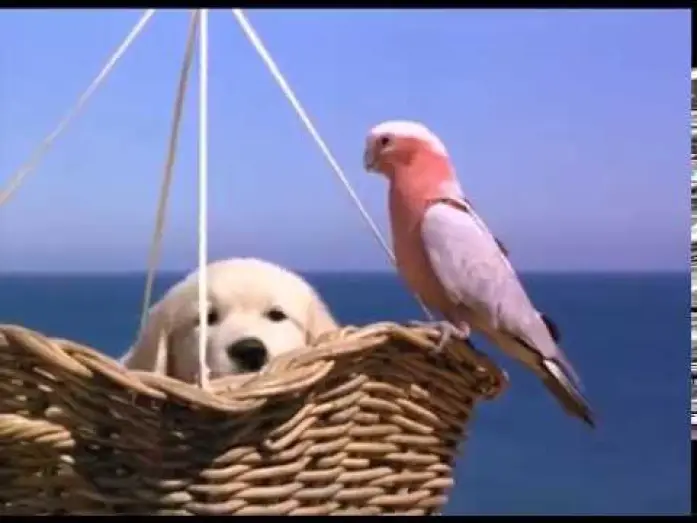 Відео до фільму Наполеон — Napoleon - Excerpt (1995)