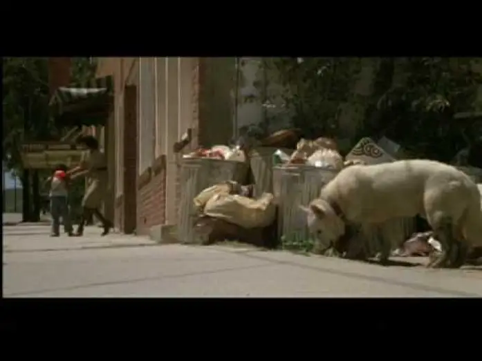 Відео до фільму Білий собака — White Dog (1982) Theatrical Trailer