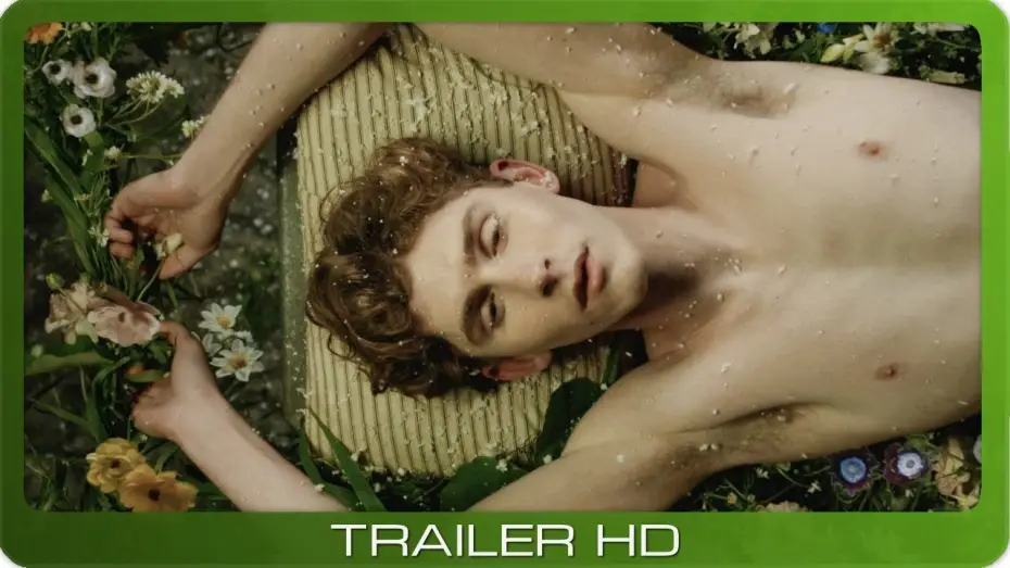 Відео до фільму Lilies Not for Me | Lilies Not for Me ≣ 2024 ≣ Trailer ≣ German | Deutsch ≣ OmU
