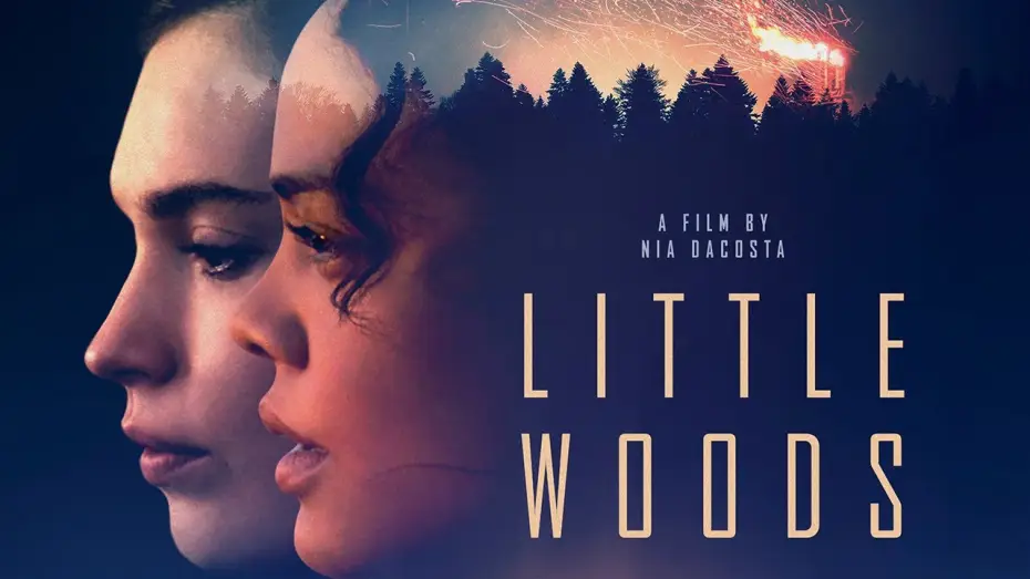 Відео до фільму Маленькі ліси — Little Woods [Official Trailer] In Select Theaters 4/19