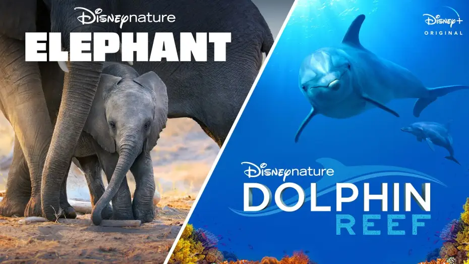 Відео до фільму Dolphin Reef — Official Trailer