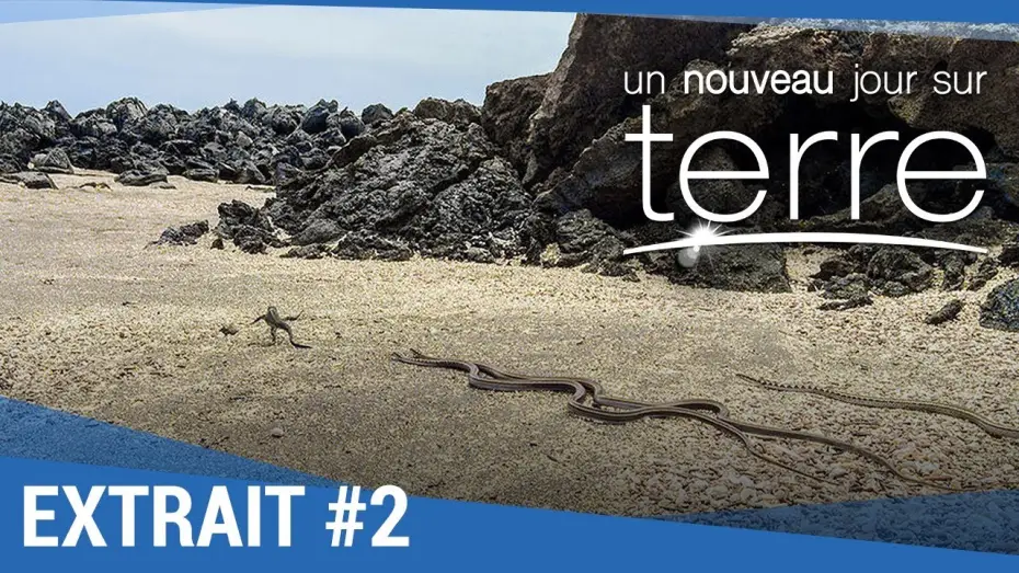 Відео до фільму Земля: Один вражаючий день — UN NOUVEAU JOUR SUR TERRE - Extrait "Iguanes" VF
