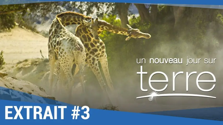 Відео до фільму Земля: Один вражаючий день — UN NOUVEAU JOUR SUR TERRE - Extrait "Girafes" VF