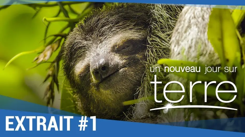 Відео до фільму Земля: Один вражаючий день — UN NOUVEAU JOUR SUR TERRE - Extrait "Paresseux" VF