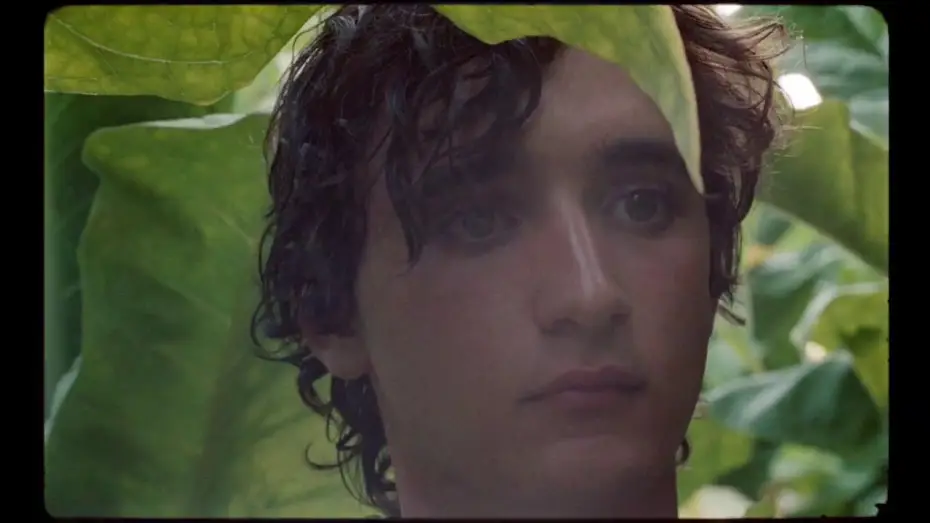 Відео до фільму Щасливий Ладзаро — HEUREUX COMME LAZZARO - Bande Annonce VOST
