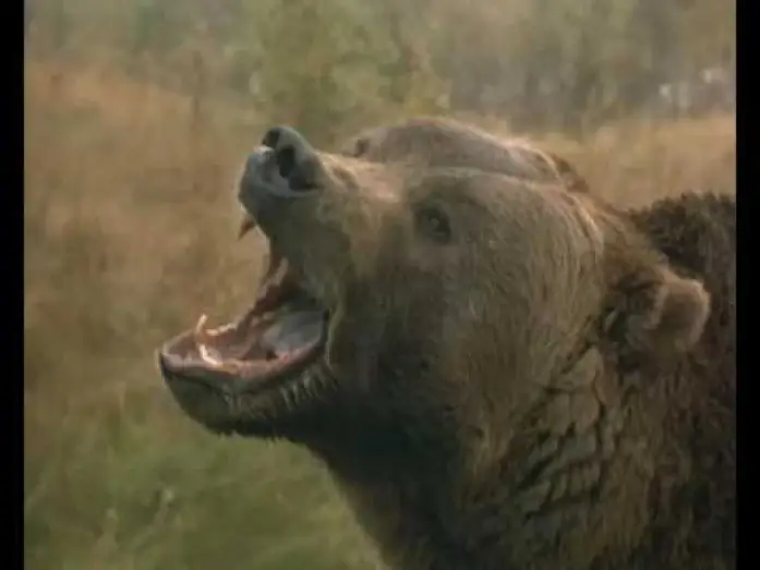 Відео до фільму Grizzly Falls — Grizzly Falls Trailer