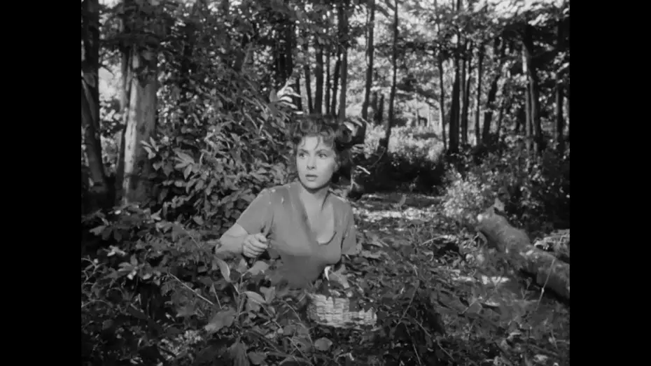Відео до фільму Хліб, любов і фантазія — PANE, AMORE E FANTASIA: dal 18 luglio al 24 luglio al cinema
