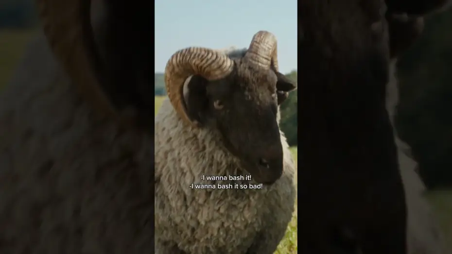 Відео до фільму Вівці-детективи | Sheep can do anything...