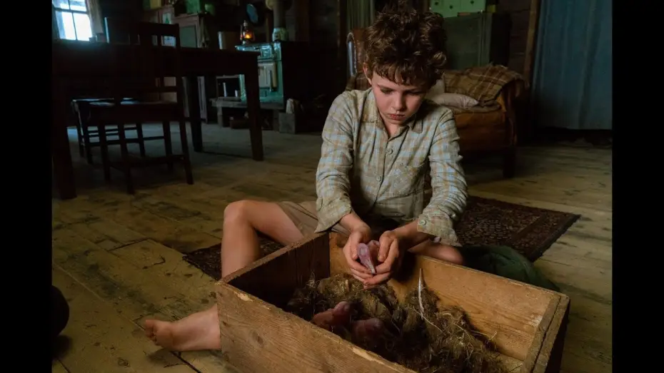 Відео до фільму Мій друг містер Персіваль — STORM BOY - EXTRAIT : "Prendre des forces" VF